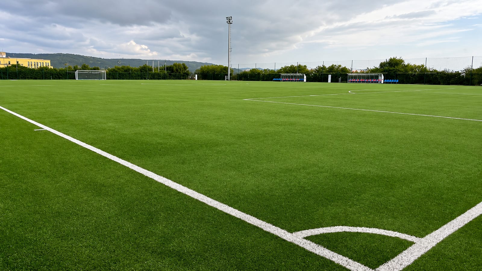 Il campo a 11